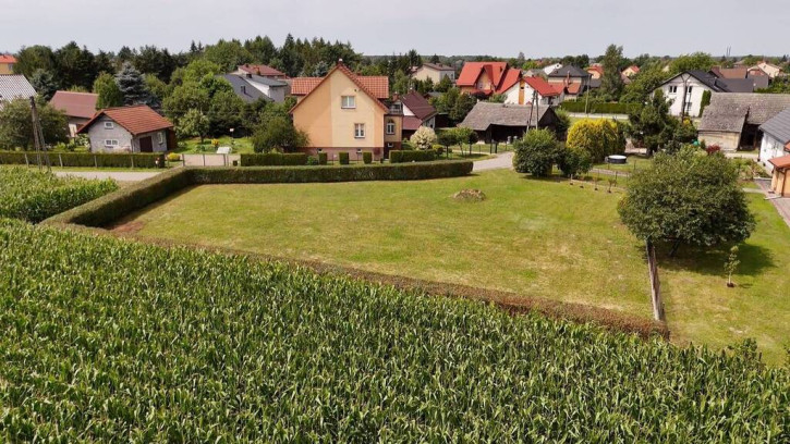 Działka Sprzedaż Przeciszów Borkowa 6