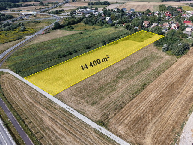 Działka Sprzedaż Łozina Lipowa 1